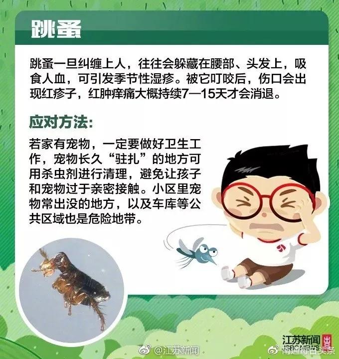 [男童]宝宝更易中招，已数千人被咬伤警惕！13岁男童被虫咬生命垂危
