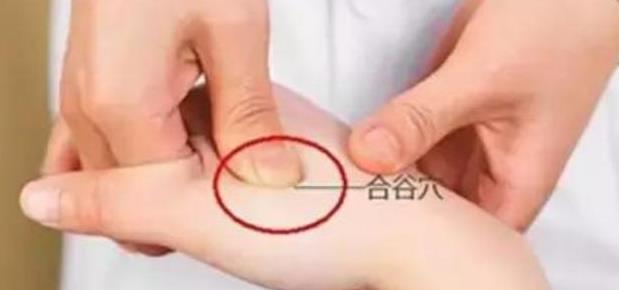 小孩调理脾胃推拿需要天天做吗 d4604183f5ea4a55b4b769288f513f95.jpeg