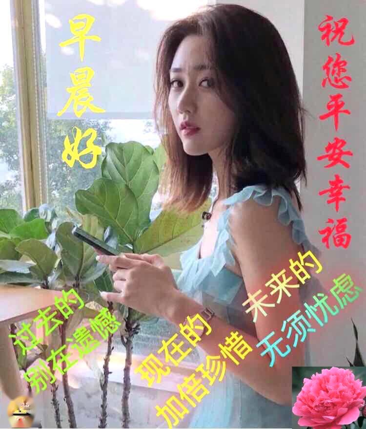 2021年美女早上好,2021年美女早上好图片 非常漂亮的美女早上好问候表情图片