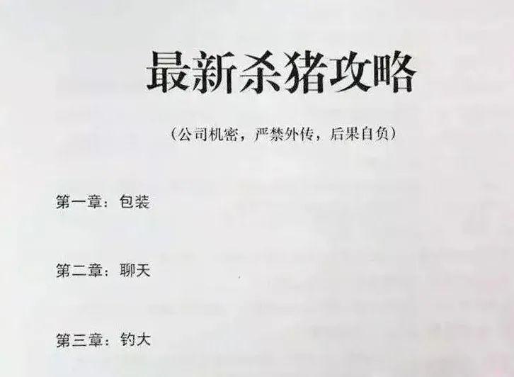 eda3100c4c9d49cca6a22a60b2d55238.jpeg
