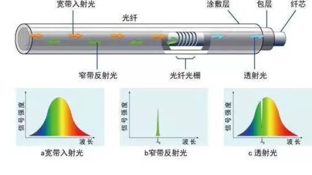 【深度解读】玛法达星座综合分析：运势影响与生活建议 (深度解读红楼梦)