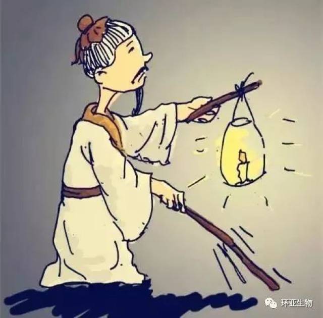 的艺术表达与故事内涵