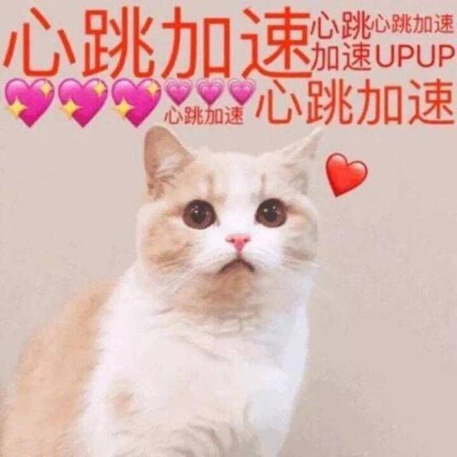 不容错过的激动人心动作电影推荐