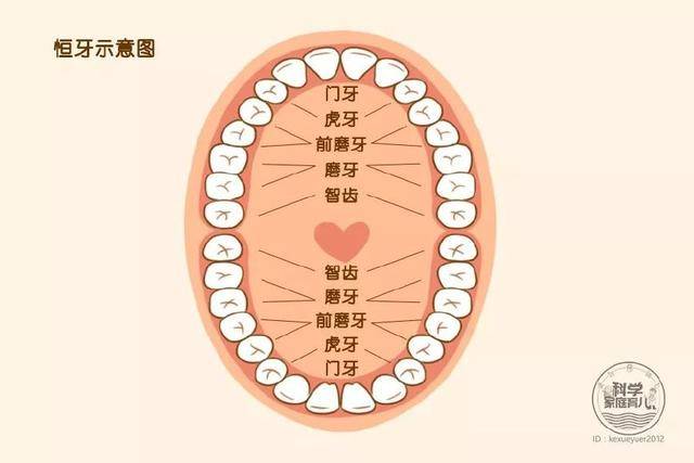 齿轮强度计算中
