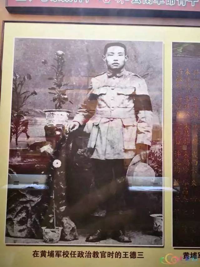 从三分之王到全能中锋库里和约基奇如何重新定义现代篮球