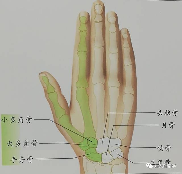 腕间格调·手表专研