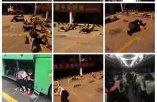 请原谅我们的睡姿有点儿“难看”
