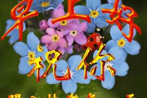2月28日问候大家早上好祝福语图片,最新早晨好问候祝福语短信