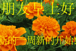 最新早上好动态表情图片 特别漂亮的早上好图片大全带字