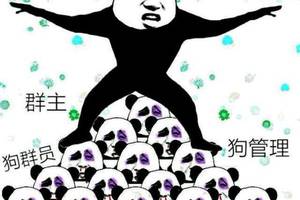 100个搞笑又好玩的表情包
