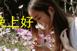 晚上好微信表情 晚上好表情包