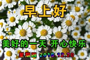 5月2日微信早上好表情包精选,早晨动态表情图片大全_问候