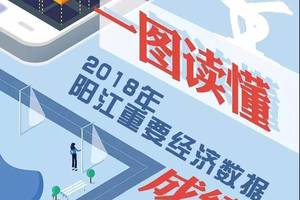 阳江版无间道之涉黑团伙锤头笠卤味钦电筒光等响朵人物故事