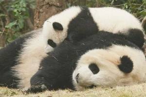 因运动而开挂的人生有多精彩?解锁运动公益新姿势