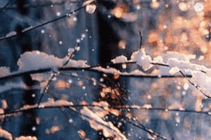 天啦,一波雨雪正在靠近~昆明也要降温了!