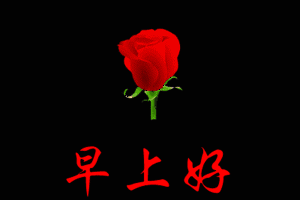 2019新的早上好动态图片大全 猪年新版早晨问候语表情包