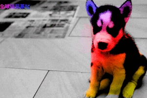 搞笑gif动图:我是超狗,拥有强大杀伤力,眼睛还会发射激光!