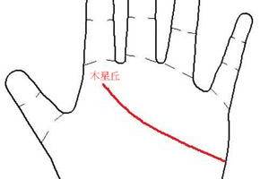 手相有"凤尾纹"的女人,一辈子是荣华富贵命,夫妻恩爱