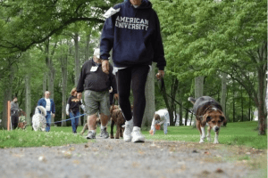 公园遛狗,因为别人家斗牛犬骑在她家狗狗身上,女子叫来了警察