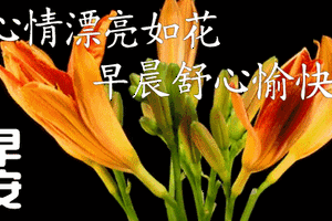 大家早上好祝福语动态图片 早上好的问候语表情大全
