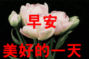 ,紵ķ,糿