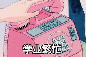关于学习的表情包|学业繁忙,先挂了