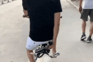 搞笑gif:狗子:铲屎的,给爷扶好了!