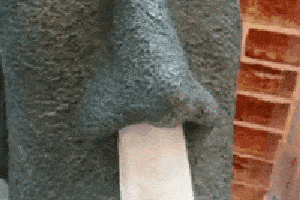 搞笑gif:没事就多去海边转转,比在家里看电视爽多了