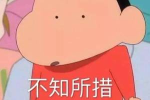 小狗跑步后腿一起跳的,狗跑起来后腿一起蹦
