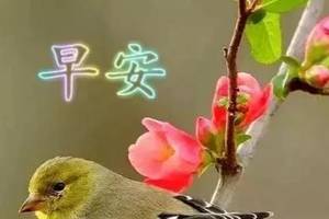 2020簲ƯʺͼƬף Ϻʺ¼ףͼƬ