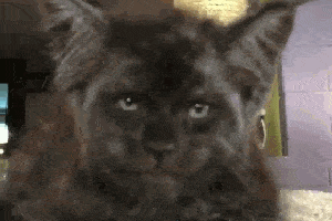 搞笑gif:这妹子对我做了这手势,我连孩子名字都想好了