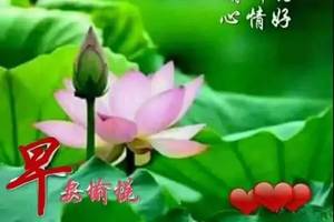 2020特漂亮的早上好动态祝福表情 看着舒心的清晨好问候图片带字