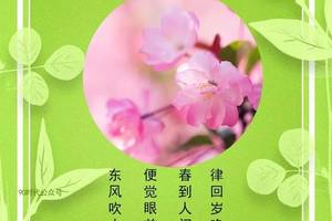 2月4日最新立春祝福语大全 鼠年立春问候表情图片带字带