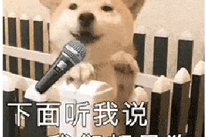 沙雕狗子表情包