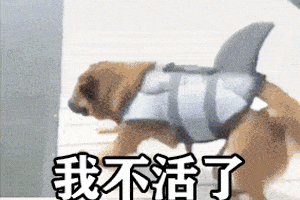 女朋友生气了发什么表情包哄她呢?是时候拿出必杀图了,非常有用