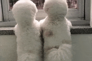 两个狗砸手牵手趴在窗台看雪.画面萌到炸!
