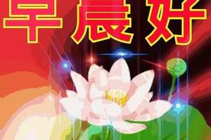 鼠年二月初九早上好祝福语简短 3月2日周一早安表情图片免打字