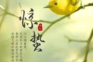 3月5日惊蛰朋友圈祝福语大全,惊蛰微信祝福问候语图片精选