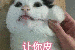 各种沙雕表情:我上去就是一脚,不要逼我变身,我猜你也开始慌了