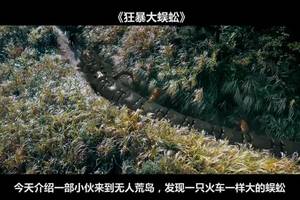 女孩来到无人岛度假,没想到这里的蜈蚣跟火车一样大狂暴大蜈蚣