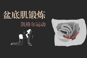 医学图解—盆底肌锻炼凯格尔运动