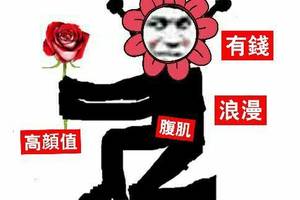 搞笑表情包:我他妈直接.