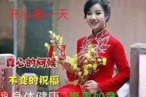 ȦƯϺͼƬ,簲ʺﶯ̬ͼƬȫ