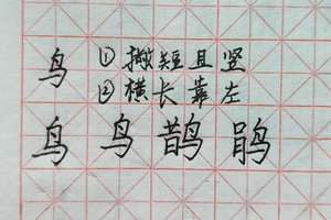 鸟字边,鹃,偏旁部首,硬笔,习字,独立精讲,书写要点提示