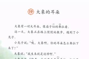 լĿح꼶²19Ķ䡷