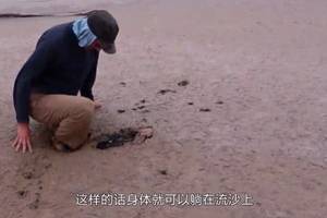 外国美女跳入亲自测试,意外就在一瞬间