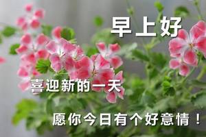 2020ϺףͼƬ鶯 Ư簲ͼƬȫ