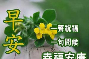 2020ƯϺ簲ףͼƬ,簲ʺ̬ͼ