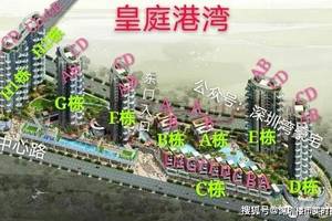 深圳湾《皇庭港湾》成交数据 户型图详情