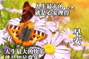 生命,要用快乐的心情来丰盈;人生,要用真挚的情谊来感动,早安
